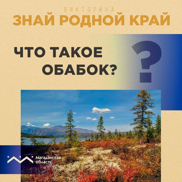 Сейчас время прогулок по лесу, которые многие совмещают со сбором дикоросов. И если большинство колымчан не удивить заготовками курильского и Иван-чая, дикой петрушки, различных грибов и ягод, то, не исключено