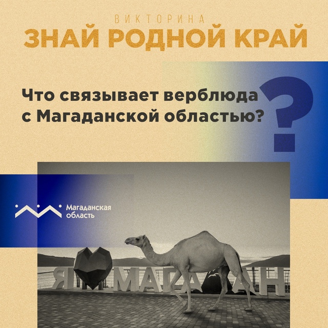 В 2018 году в магаданском Городском парке поселилось семейство белоплечих орланов. Арт-композицию создал магаданский художник Владимир Похилюк. Скульптура, выполненная в натуральную величину